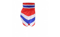 Шорты для бокса TKTBS244 thai-flag 2XL
