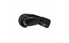 Боксерские перчатки Fairtex BGV27 black 16 oz
