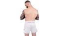 Шорты для бокса Fairtex BS1908 (белый) M